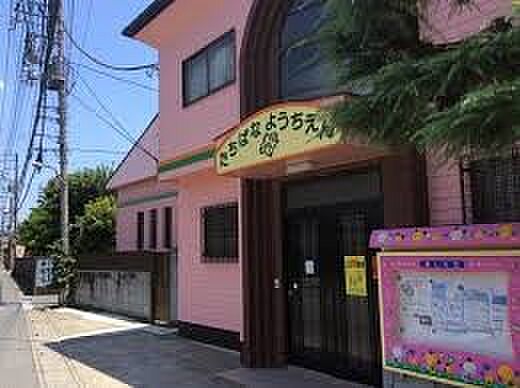 幼稚園・保育園 400m たちばな幼稚園(たちばな幼稚園 徒歩5分)