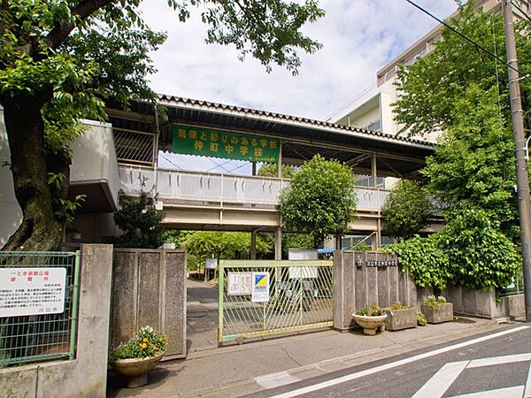 中学校 450m 川口市立仲町中学校