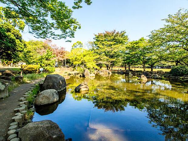公園 530m 蕨市民公園