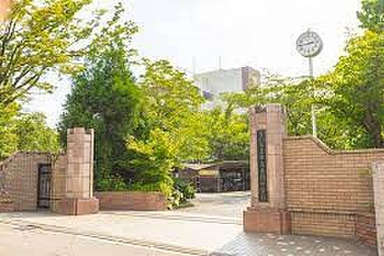 小学校 950m 美園北小学校