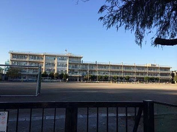 小学校 376m さいたま市立見沼小学校