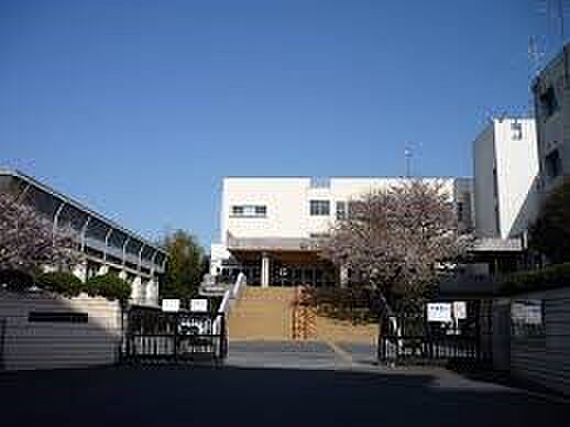 中学校 800m 越谷市立富士中学校