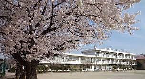 小学校 800m さいたま市立太田小学校