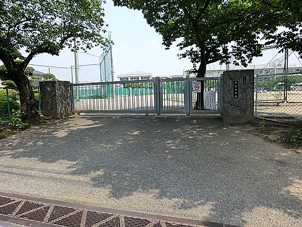 その他環境写真 646m 栄小学校
