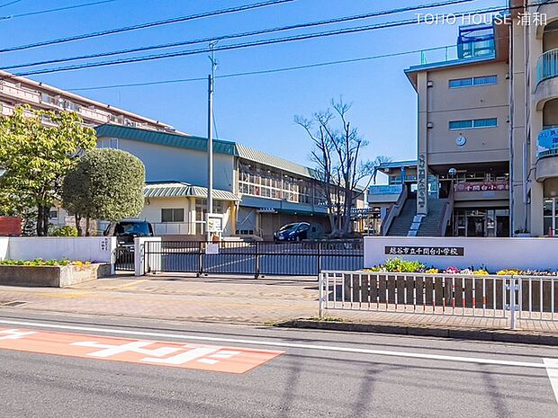 小学校 400m 千間台小学校
