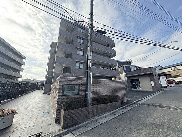 【前面道路】家の前をまっすぐの通りが走っている。クルマは少なく、人々は毎朝、ウォーキング、ジョギング、犬の散歩など、フリーな朝時間を過ごしている。