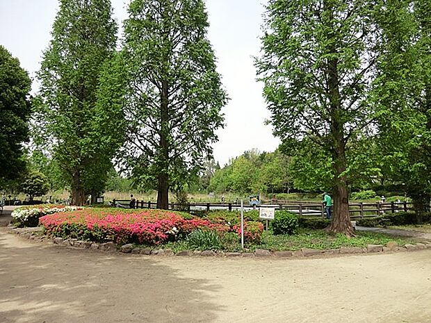 公園 1000m 川口自然公園(川口市差間にある公園。自然豊かな公園内では野鳥、昆虫、ザリガニなど、様々な生物を見る事ができるそうです。複合遊具が設置されている広場もあります。)