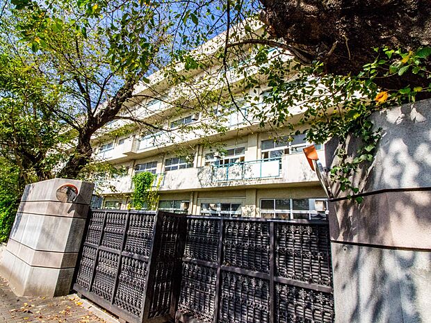 中学校 984m 木崎中学校