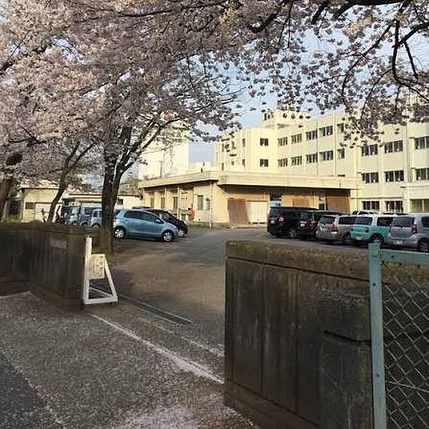 小学校 260m 上尾市立東町小学校(上尾市立東町小学校 徒歩4分)
