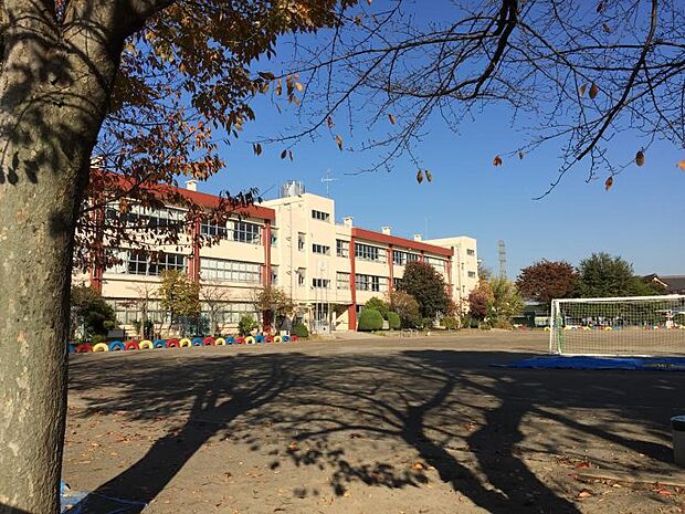 小学校 1900m 朝霞第三小学校