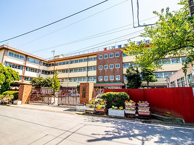 中学校 1300m 八幡木中学校(八幡木中学校 徒歩17分)