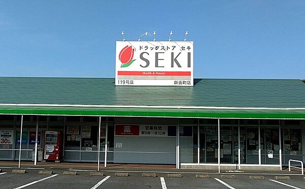 ドラッグストア 700m ドラッグストアセキ 新善町店