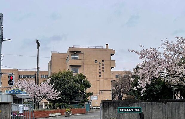 小学校 220m 草加市立氷川小学校