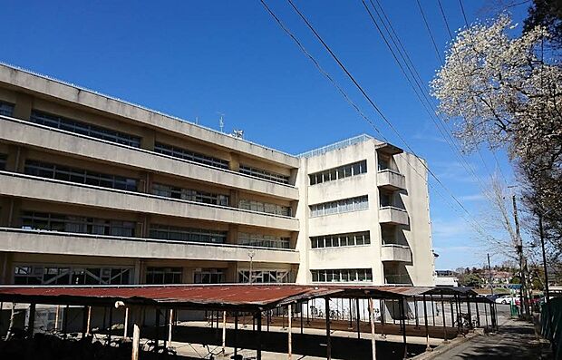 中学校 1100m 城北中学校