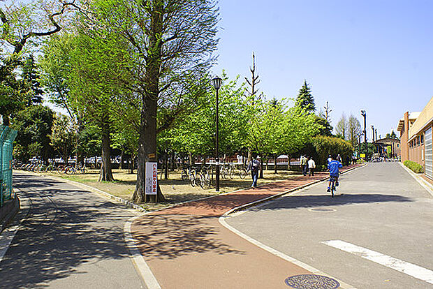 公園 500m 青木町公園総合運動場(西川口駅から北東へ約1.5km、川口市西青木4丁目に位置する運動場。敷地内には陸上競技場、野球場、テニスコート、プール、ジョギングコースなどがあります。…