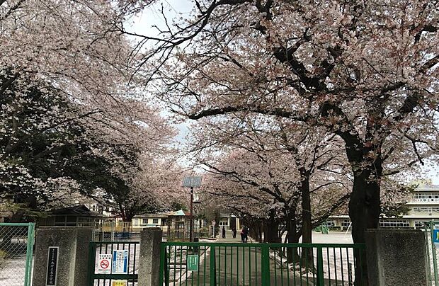 小学校 430m さいたま市立大砂土東小学校