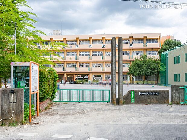小学校 550m さいたま市立大谷小学校