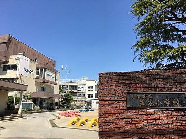 小学校 662m 川口市立並木小学校