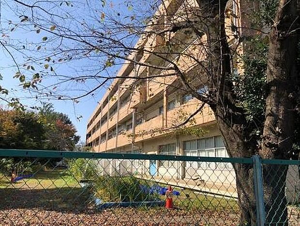 小学校 579m 上尾市立今泉小学校