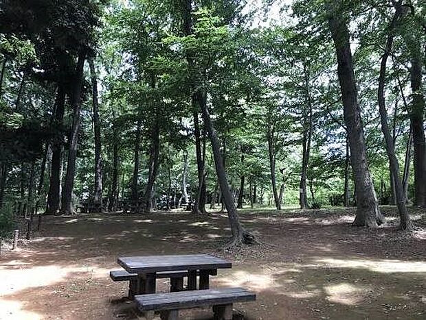 公園 1279m 安行原自然の森(安行原自然の森まで1279m 徒歩16分)