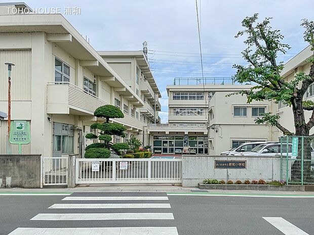 小学校 1000m 新和小学校(私たち新和小には、もちのきというシンボルの木が存在します。永い永い間、もちのきは新和小の生徒たちを見守り続けてきました。そのもちのきのような根のはった教育を、…