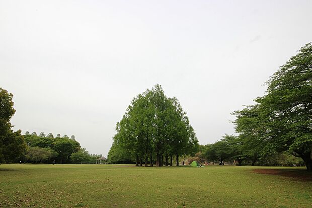 公園 350m 市民の森 見沼グリーンセンター