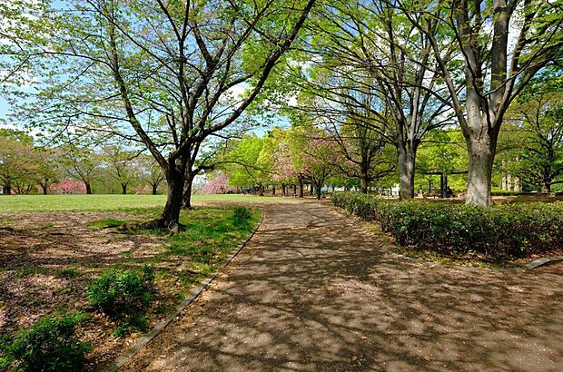公園 450m 根ヶ谷戸公園(市営の大型公園・ウォーキングコースやお子様の遊具が充実・桜の季節は広場でお花見も。)