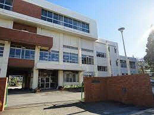 小学校 1700m 川口市立神根東小学校