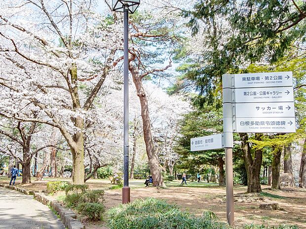 公園 480m 大宮公園