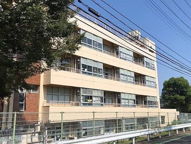 小学校 798m 川口市立戸塚小学校