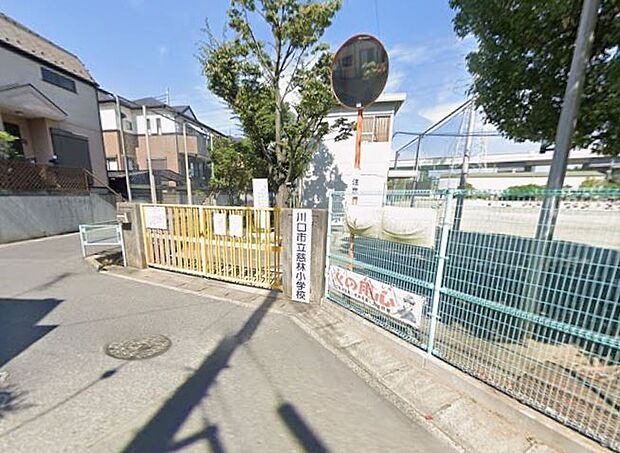 小学校 500m 川口市立慈林小学校