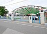 周辺：幼稚園・保育園 665m 南越谷幼稚園