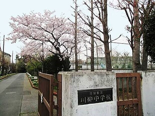 中学校 1100m 川柳中学校