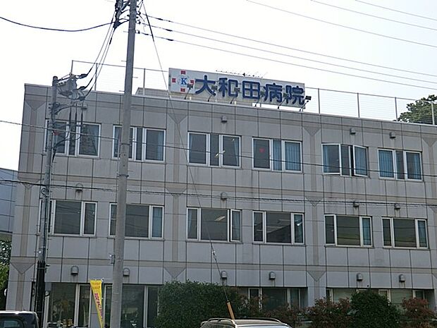病院 352m 大和田病院(見沼区大和田町2丁目に位置する「介護力強化型(特例許可老人病棟)」の病院。診療科目は内科。短期治療、長期療養の入院にも対応しています。大和田駅から徒歩約5分。)