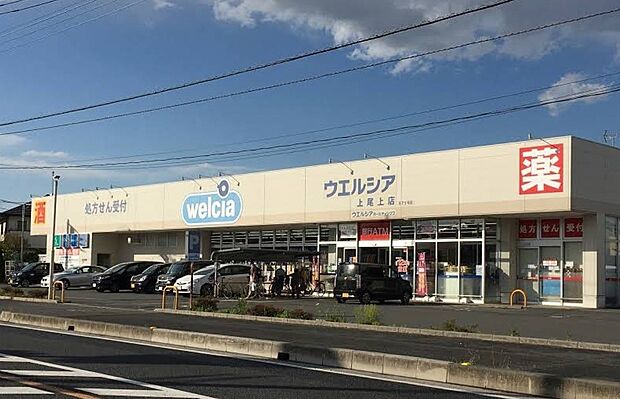 ドラッグストア 150m ウエルシア上尾上店