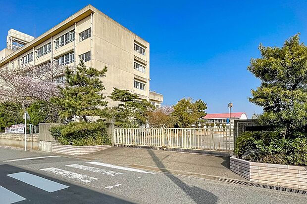 中学校 600m 草加市立青柳中学校
