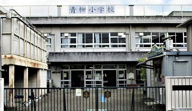 小学校 450m 草加市立青柳小学校