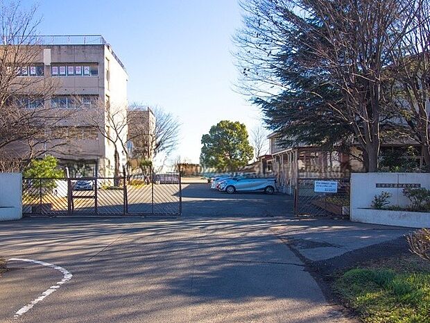 中学校 560m 蓮田南中学校