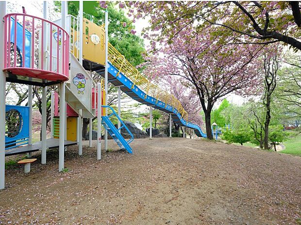 公園 50m 根ヶ谷戸公園(ロープウェイ、ローラー滑り台、ジャブジャブ川など、お子様の遊具が充実・桜の季節は広場でお花見も!市営の大型公園)