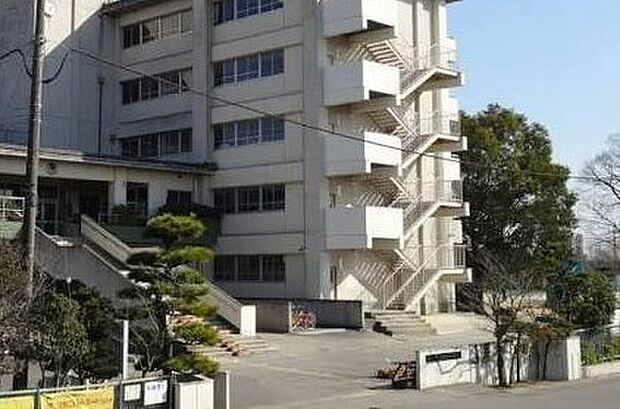 中学校 880m 越谷市立新栄中学校