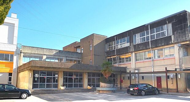 中学校 800m 草加市立川柳中学校