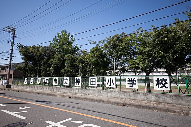 その他環境写真 290m 神田小学校