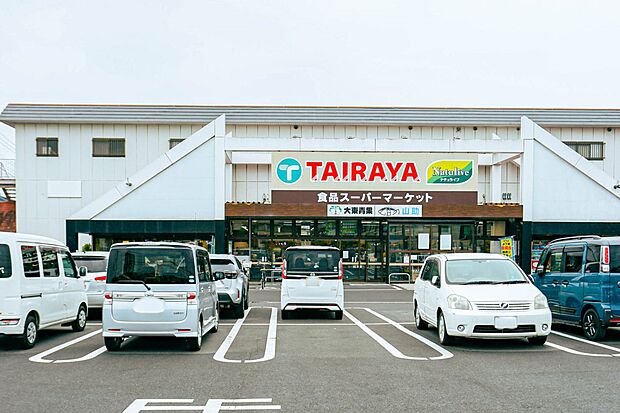 スーパー 1300m えこすTAIRAYA草加店