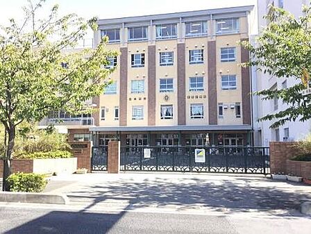 小学校 160m 川口市立本町小学校