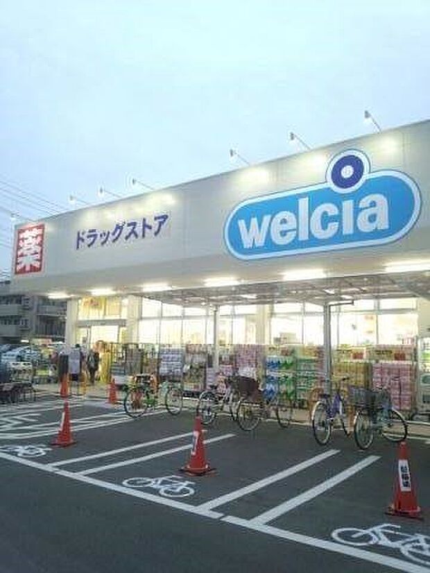 ドラッグストア 500m ウエルシア草加稲荷町店