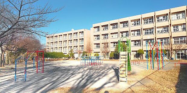 小学校 1000m 草加市立八幡小学校