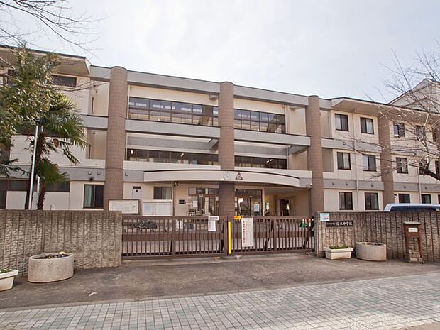 中学校 800m 桜木中学校