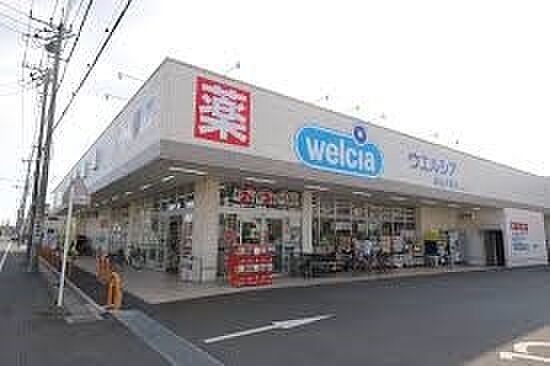 ドラッグストア 300m ウエルシア越谷大房店