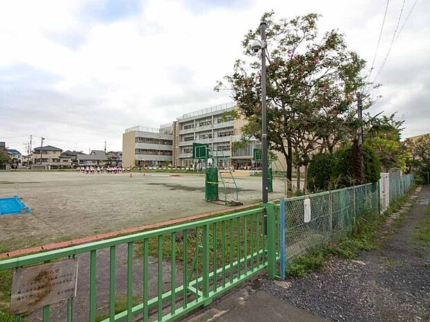 その他環境写真 527m 栄小学校(さいたま市立栄小学校(さいたま市立栄小学校))