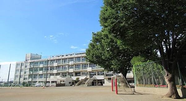 小学校 742m さいたま市立南浦和小学校